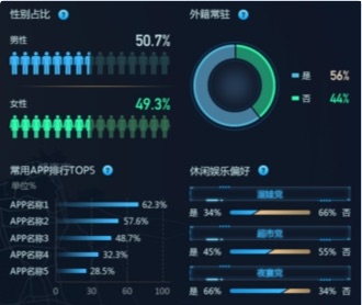 京東數(shù)科開發(fā)區(qū)商業(yè)街客流洞察大屏UI設計（保密）